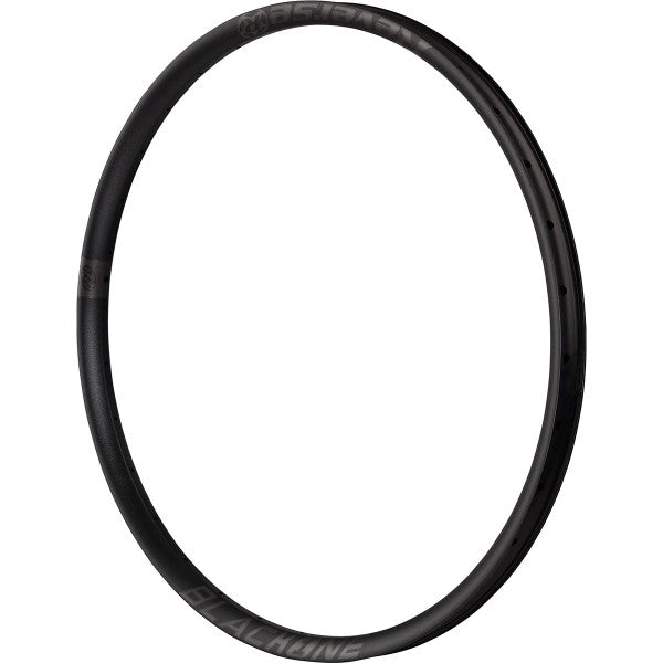 REVERSE Rim Black ONE 35-TR 29" / Stealth Black