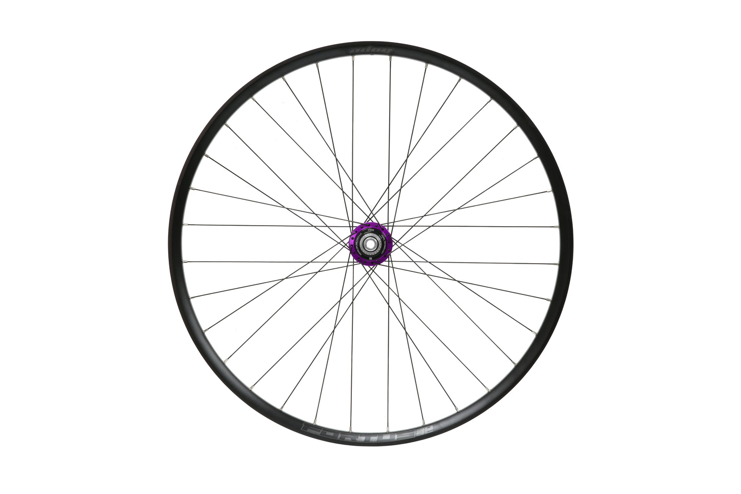 Hope Rear 29 Fortus 30SC - Pro 5 - CentreLock - 148mm Boost - Purple