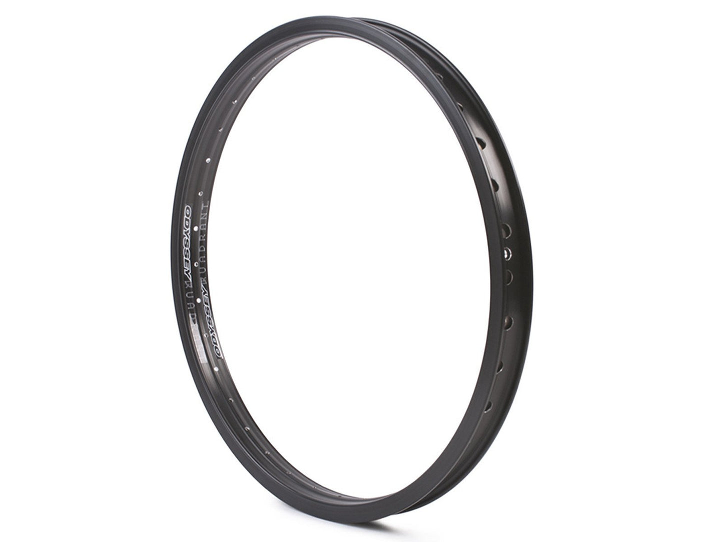 ODYSSEY QUADRANT RIM - Black / 36H