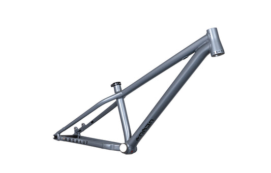 Commencal ABSOLUT Frame - POLAR SILVER