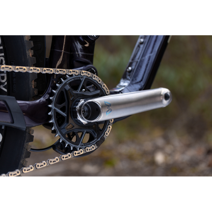 Cane Creek eeWings Mountain 8 Bolt Titanium Cranks