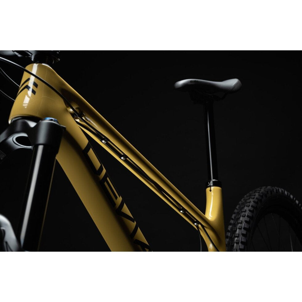 Pivot mtb hot sale frame