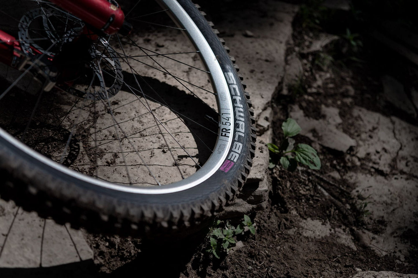 DT Swiss FR 541 SBWT disc-specific 32 hole Presta-drilled silver - 27.5"