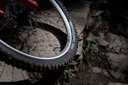 DT Swiss FR 541 SBWT disc-specific 32 hole Presta-drilled silver - 27.5"